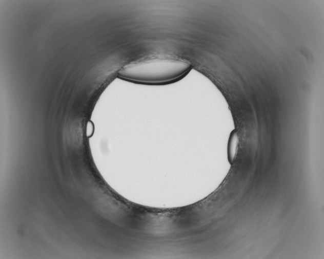 X0000111450120200908241214