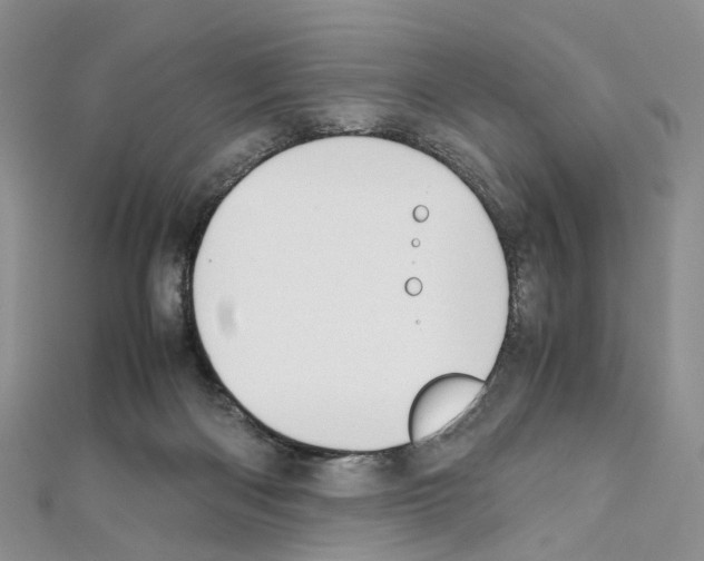 X0000111450122200908241214
