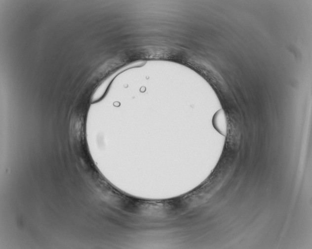 X0000111450123200908241214