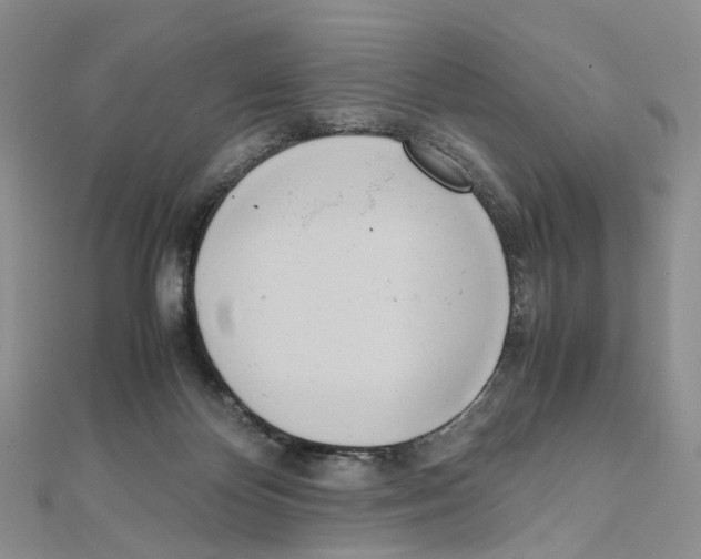 X0000111450124200908241214