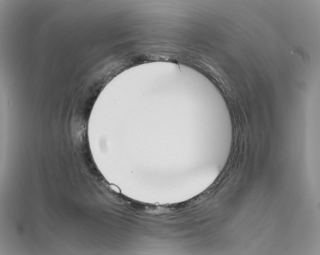 X0000111450125200908241214