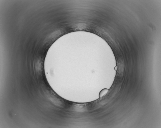 X0000111450126200908241214