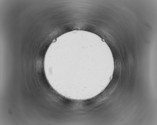X0000111450127200908241214
