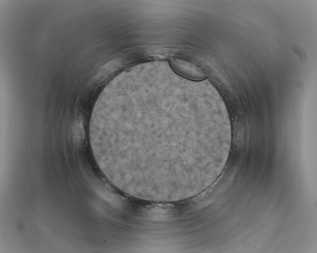 X0000111450128200908241214