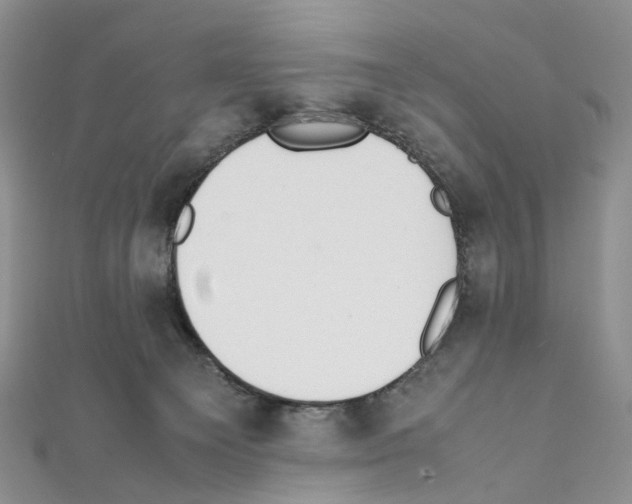 X0000111450129200908241214