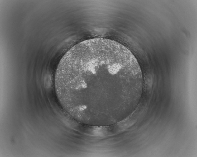 X0000111450130200908241214