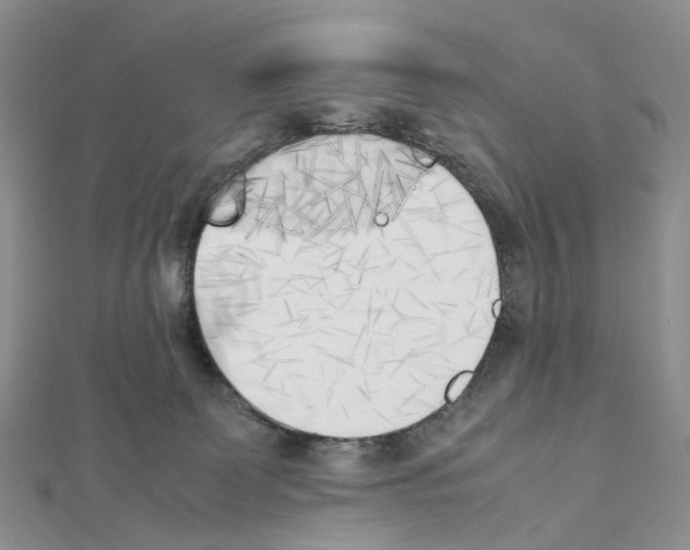 X0000111450131200908241214