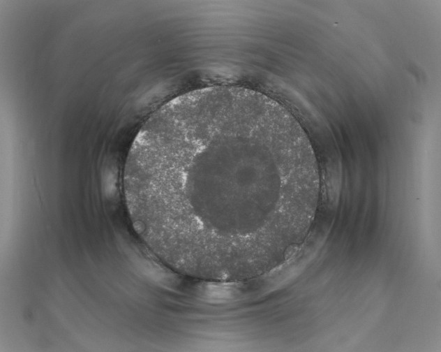 X0000111450134200908241214
