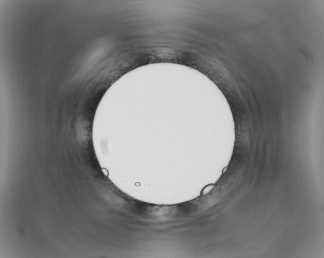 X0000111450135200908241214