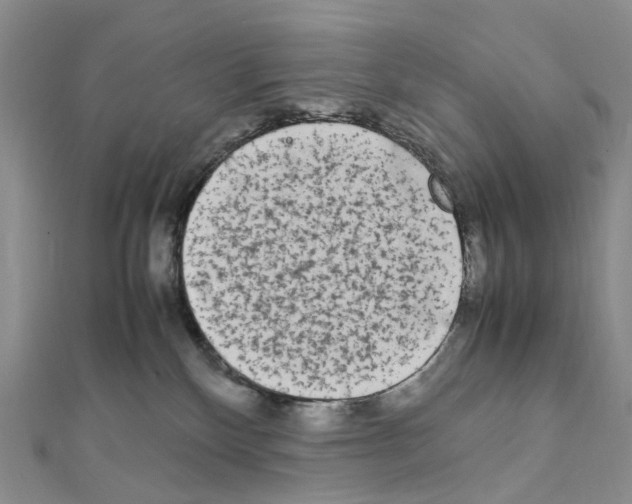 X0000111450136200908241214