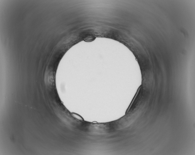 X0000111450137200908241214