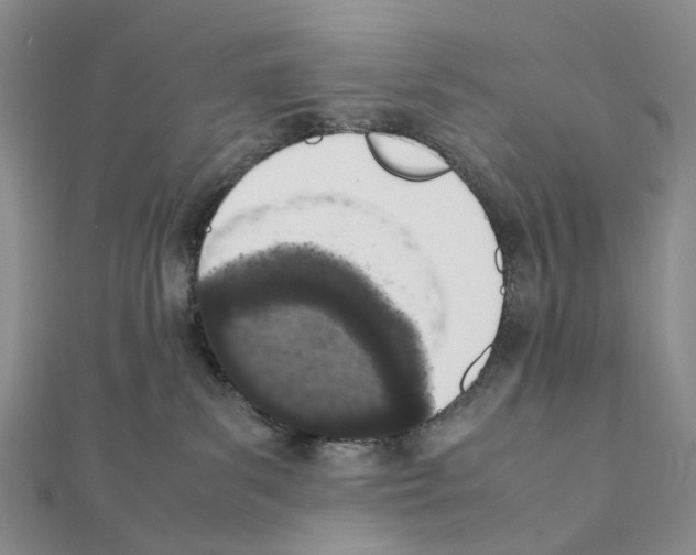 X0000111450139200908241214