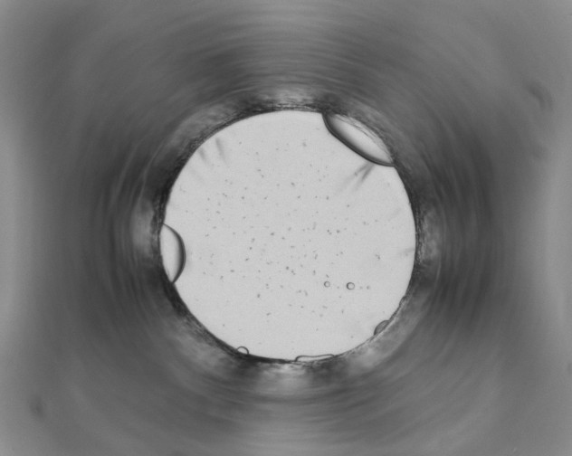 X0000111450140200908241214