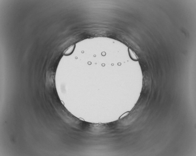 X0000111450141200908241214