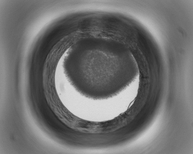 X0000111450143200908241214