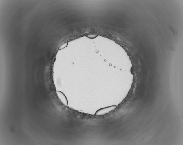 X0000111450144200908241214