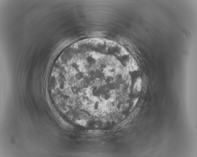 X0000111450145200908241213