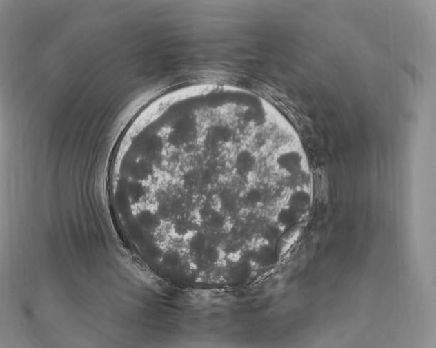 X0000111450147200908241213