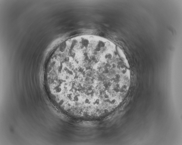 X0000111450149200908241213