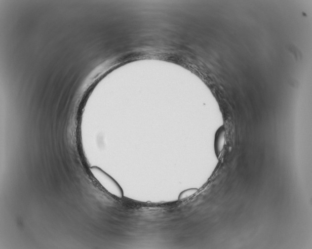 X0000111450150200908241213