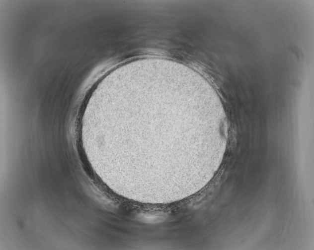 X0000111450151200908241213
