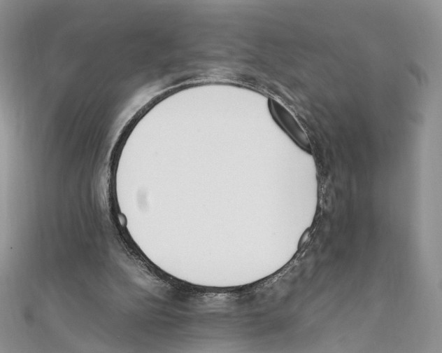 X0000111450152200908241213