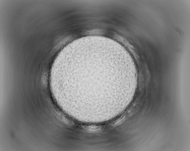 X0000111450153200908241213