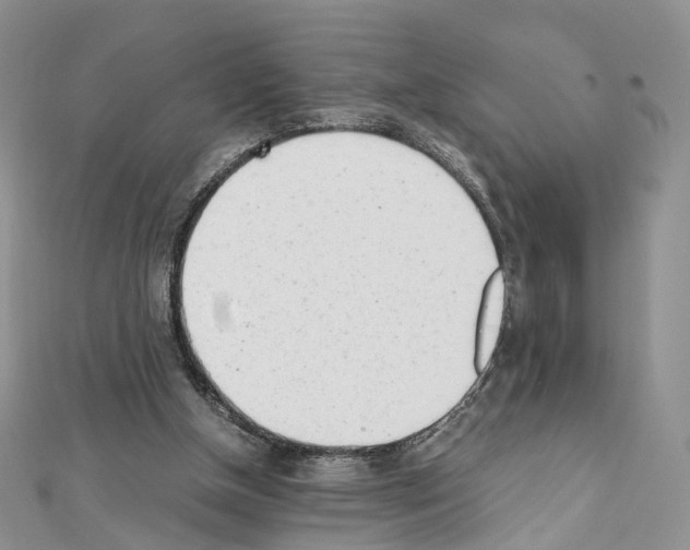 X0000111450154200908241213