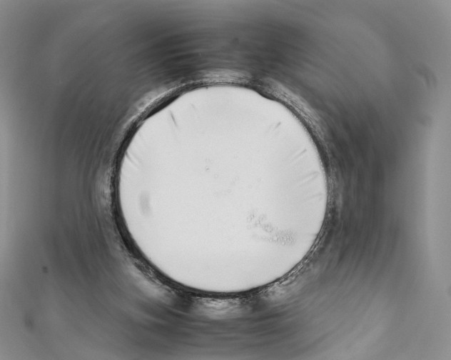 X0000111450155200908241213