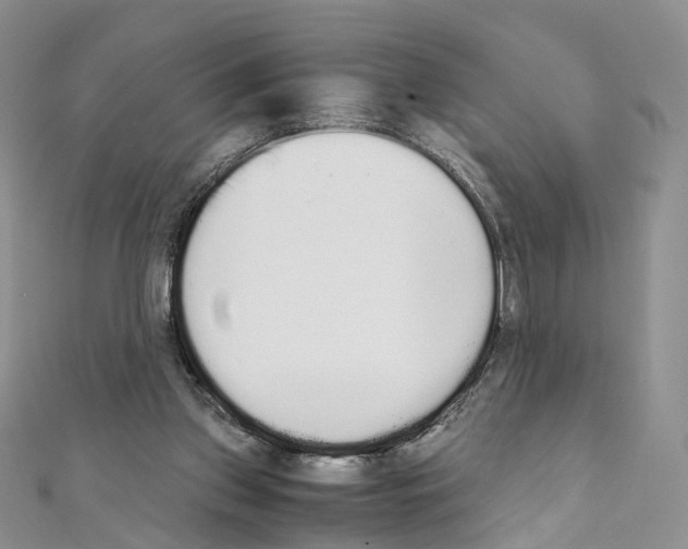 X0000111450157200908241213