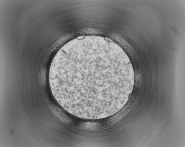 X0000111450158200908241213