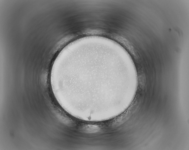 X0000111450159200908241213