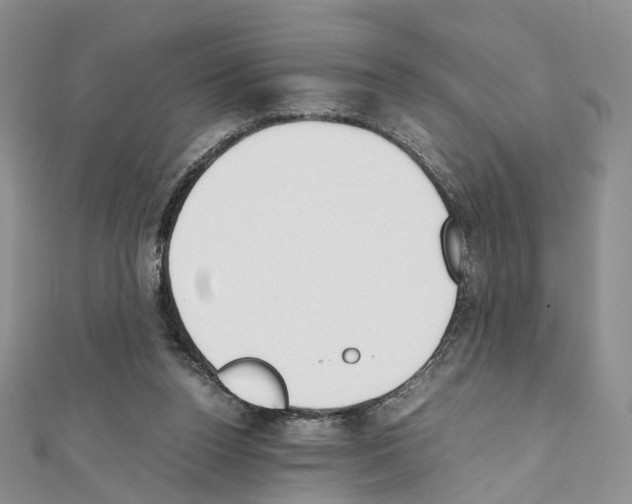X0000111450160200908241213
