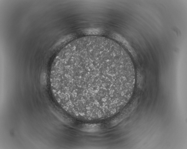 X0000111450161200908241213