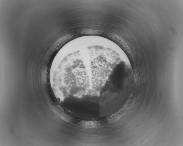 X0000111450163200908241213