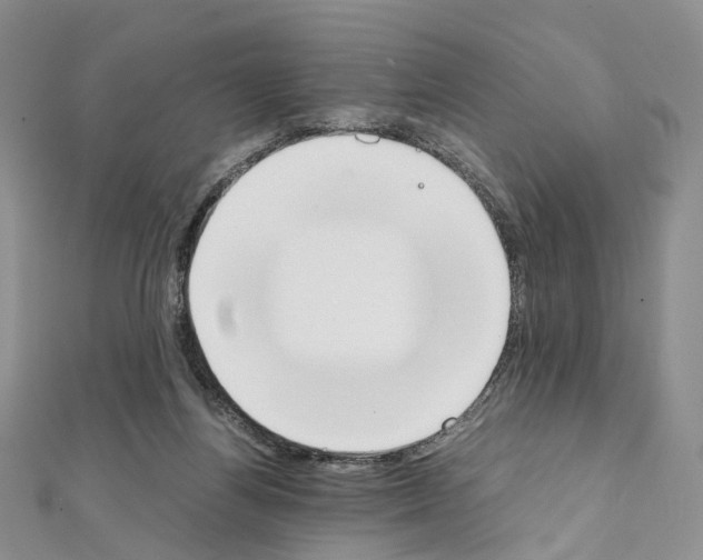 X0000111450164200908241213