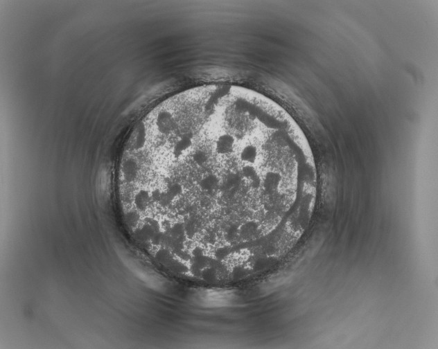 X0000111450165200908241213