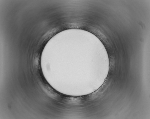 X0000111450166200908241214
