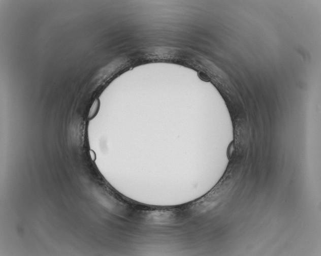 X0000111450168200908241214