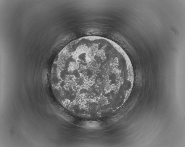 X0000111450169200908241214