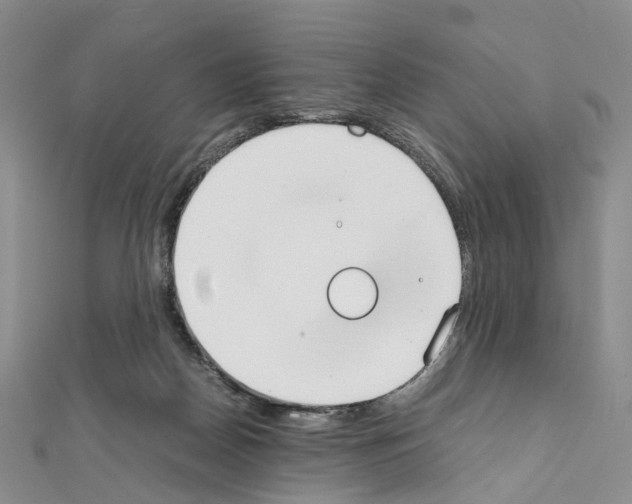X0000111450170200908241214