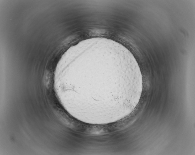X0000111450171200908241214