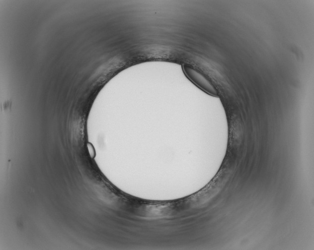 X0000111450172200908241214