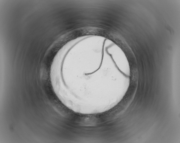 X0000111450173200908241214