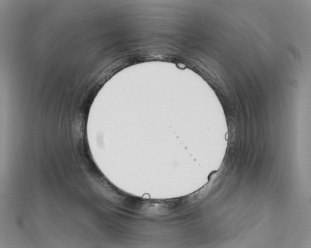 X0000111450174200908241214