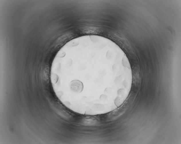 X0000111450175200908241214