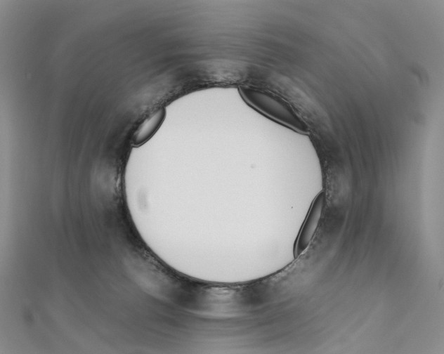 X0000111450176200908241214