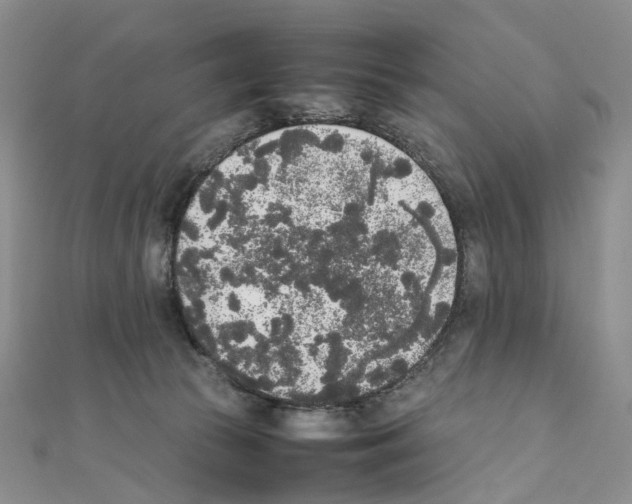 X0000111450177200908241214