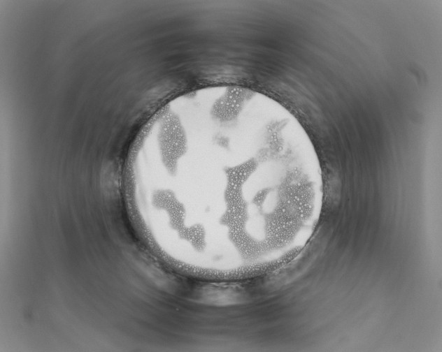 X0000111450179200908241214