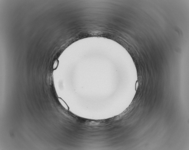 X0000111450180200908241214